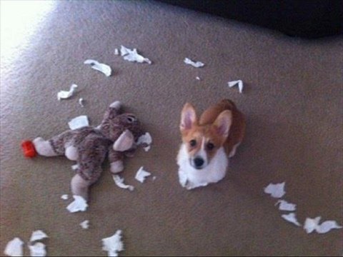 LG 32LM6200 Best Black Friday price