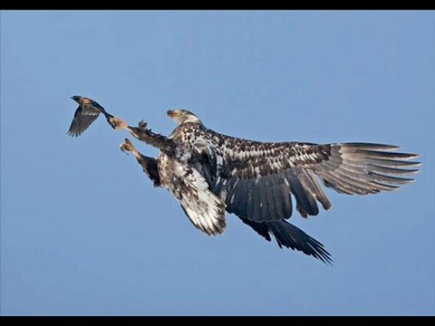 Kindle Fire Best Cheap Black Friday