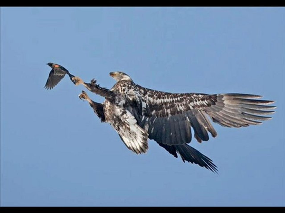 Kindle Fire Best Cheap Black Friday