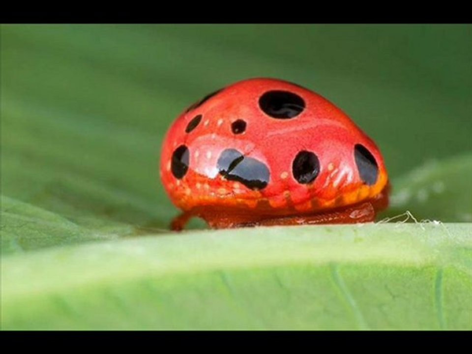 Kindle Fire Best Black Friday price