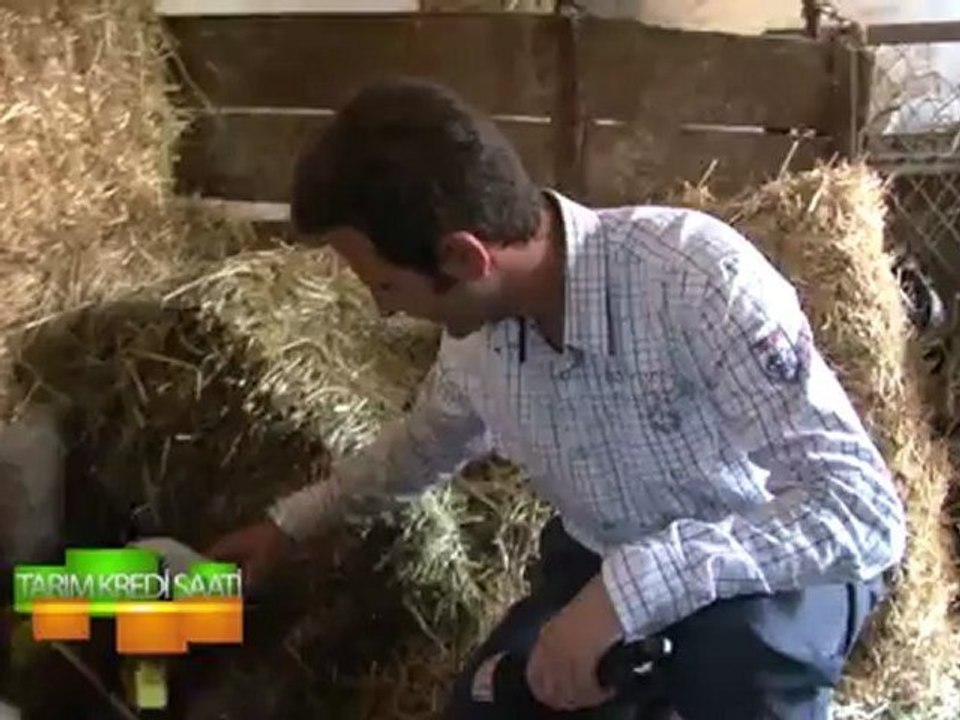 ERDAL KURUÇAY- DANASEVER :))