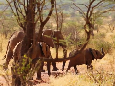 Africa - Into The Wild - Devin Graham