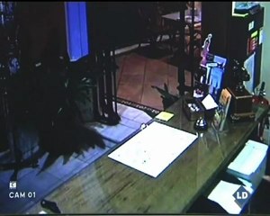 El ladrón más tranquilo del mundo