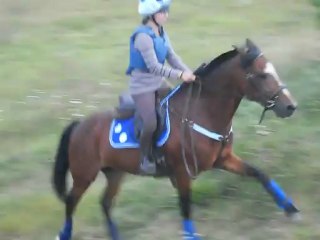 Entrainement Cross, Septembre 2012. IV