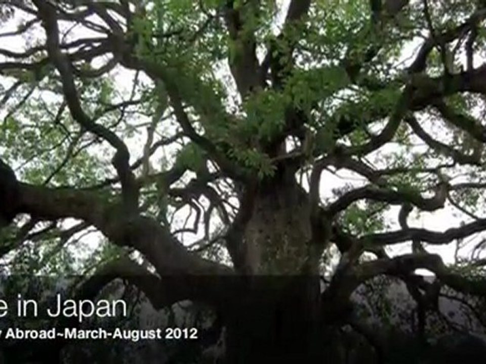 Study Abroad in Japan: Spring 2012