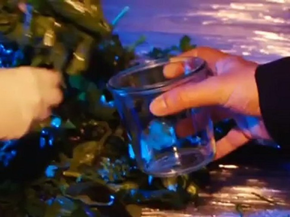 Euromaxx highlights | euromaxx