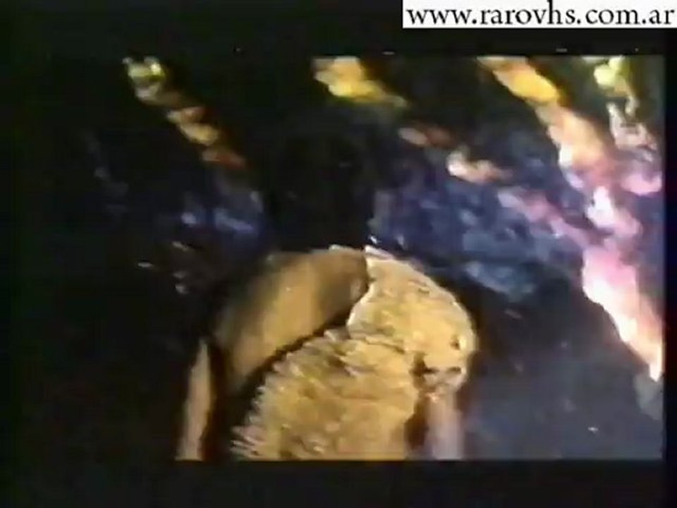 La guerra del ferro (Ironmaster) 1983 Trailer Argentino