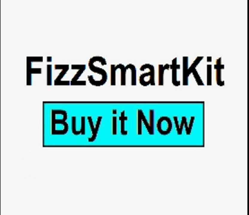Fizz Smart Beer