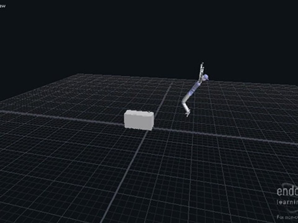 Flips