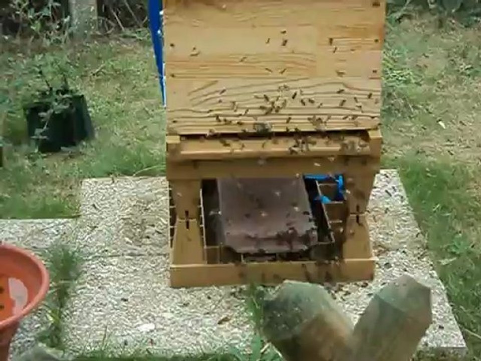 MOV01235