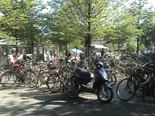 BRUXELLES  ARTISTES DU MONDE