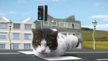 Kitty