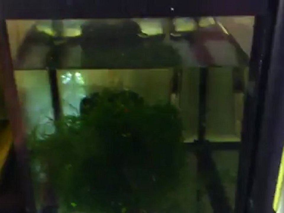 MOV_0531