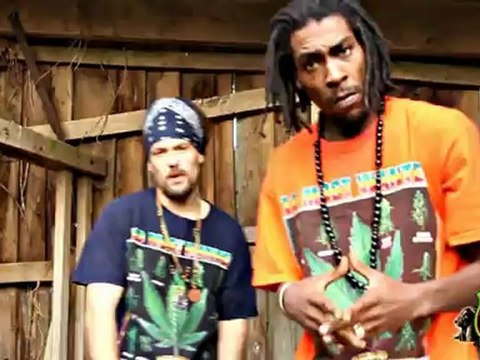 Positiv Young Lion - RASTAMAN