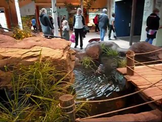 Nya Lill - Skansen 2 September år 2012