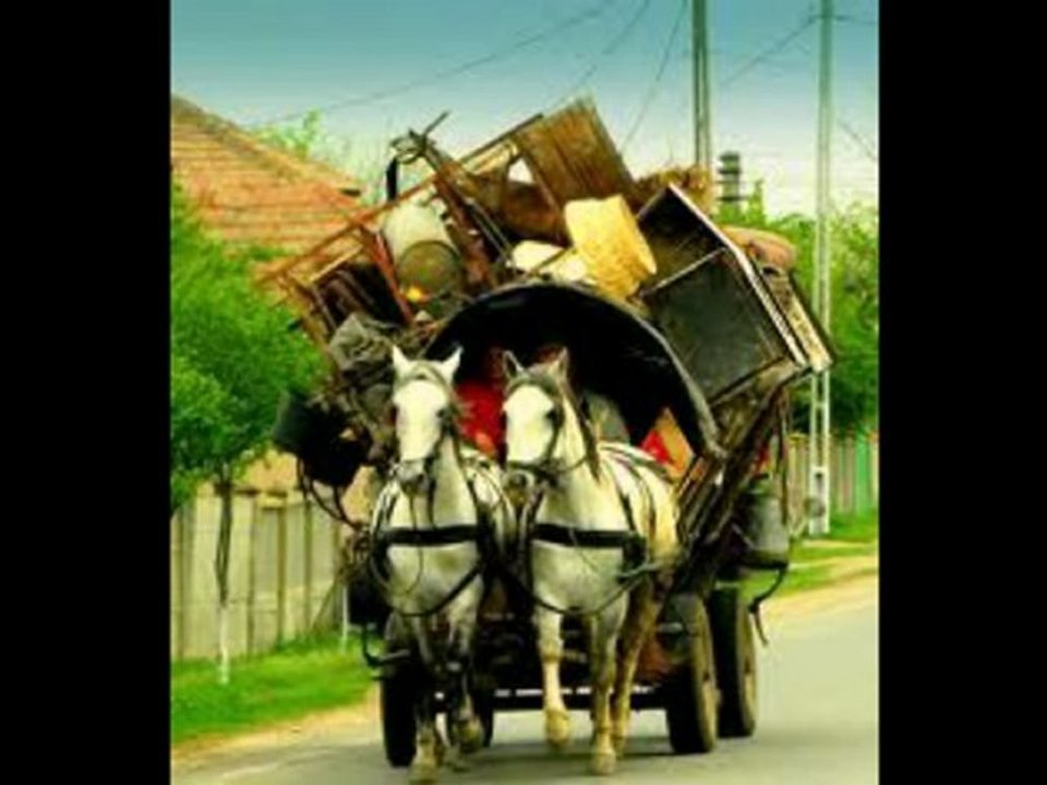 Luc ROMANN . Mes amis du voyage .