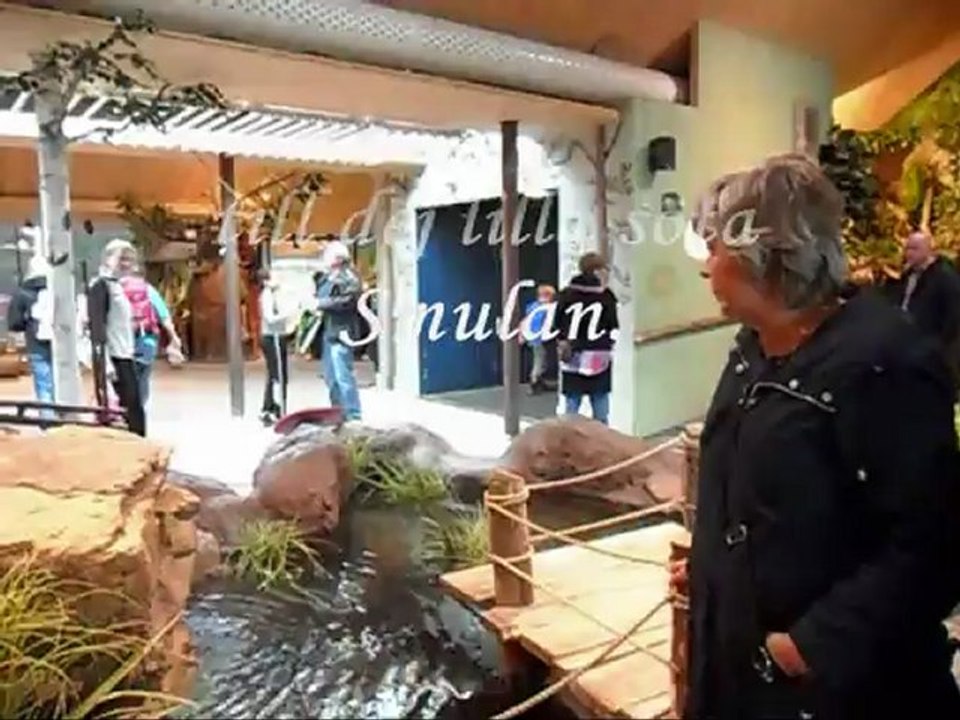 Grattis på 2års dagen lilla Smulan.   2 Sept - 12.