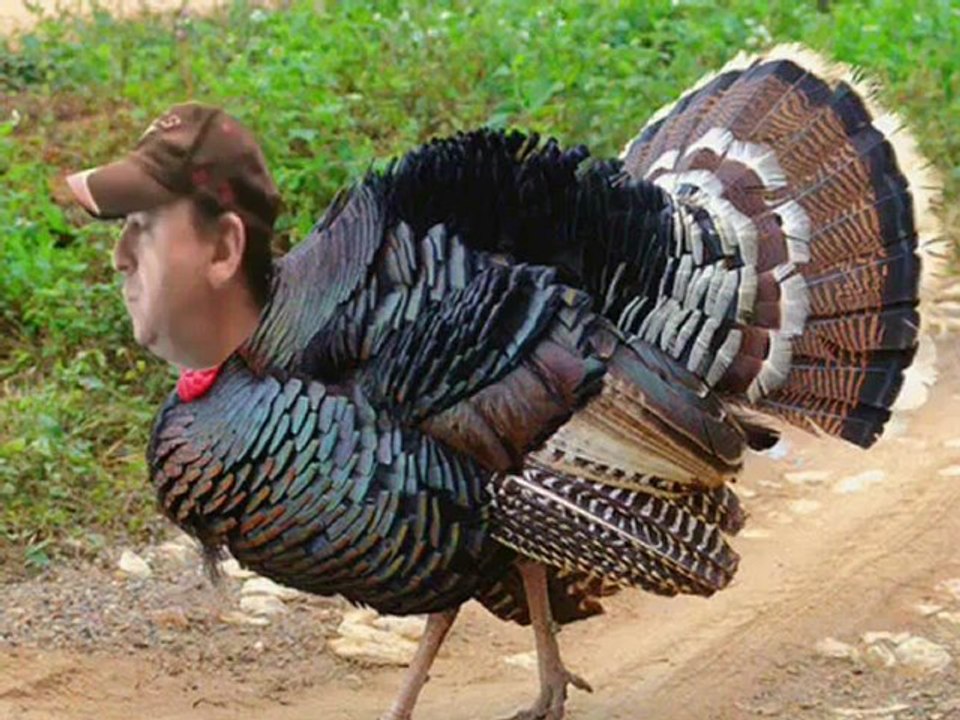 Lulz Turkey Edit #3 (Slatnikka)