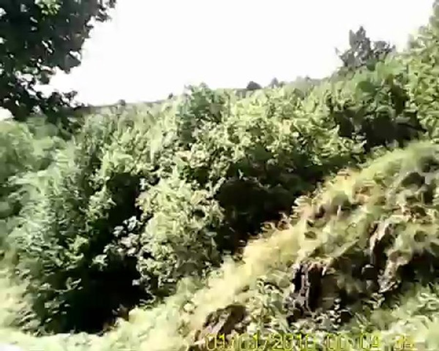 Le Damt après Jaujac