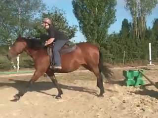 31.08.2012.i.croisillon.galop