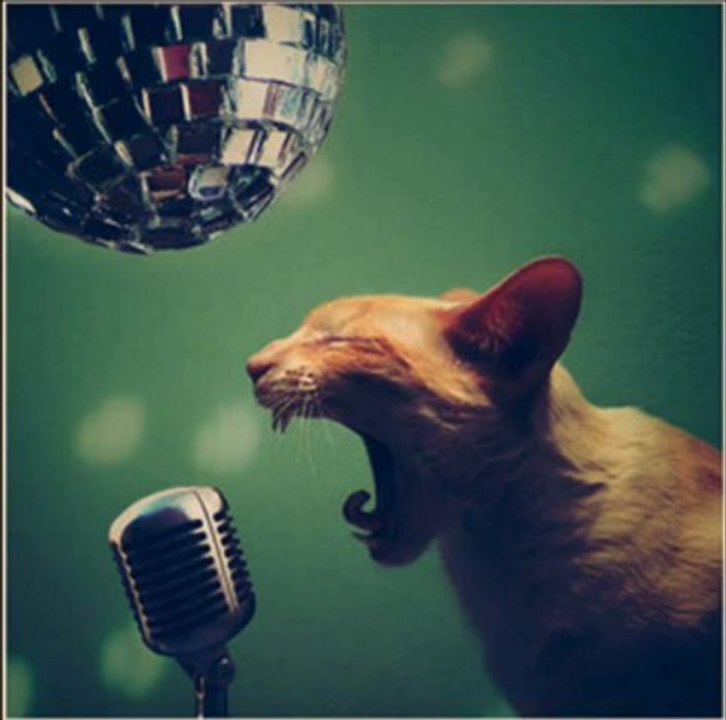sweet child version qualite pourrie