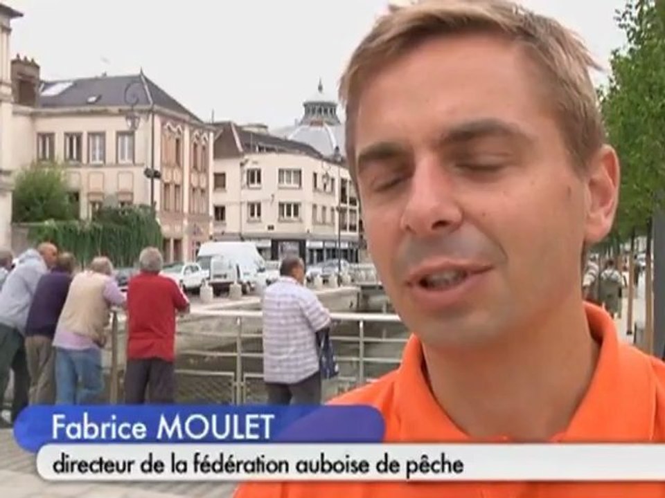 Le grand nettoyage du bassin de la préfecture (Troyes)