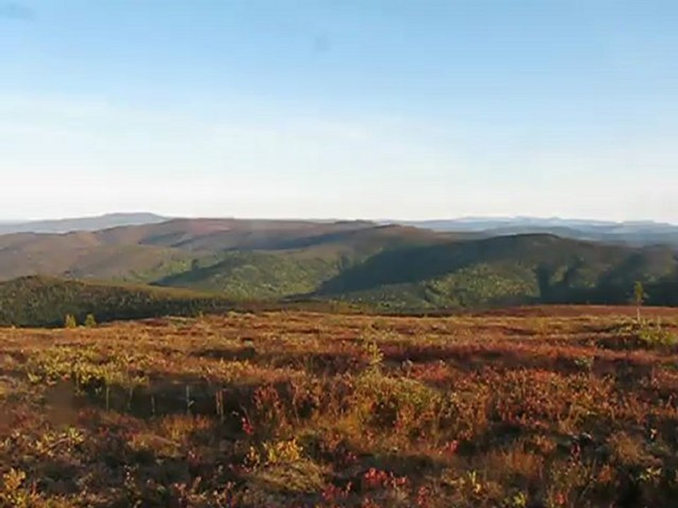 MVI_0045