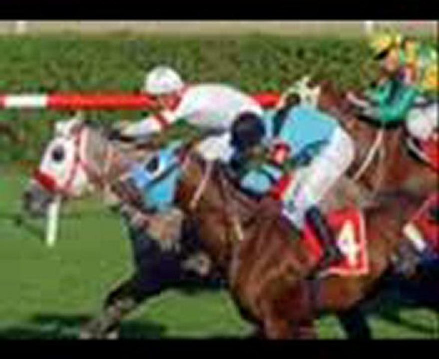 muzaffer sondortyuz komik at yarisi 1 yavuzun minibusu www.SesLiSicak.net