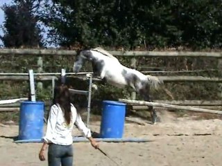 trouver (chercher !) l'appel d'un oxer