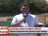 ELAZIĞ’DAN AVRUPA’YA KEREVİT İHRACATI