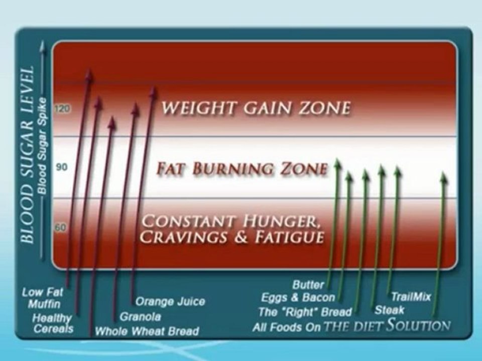 The Diet Solution Program