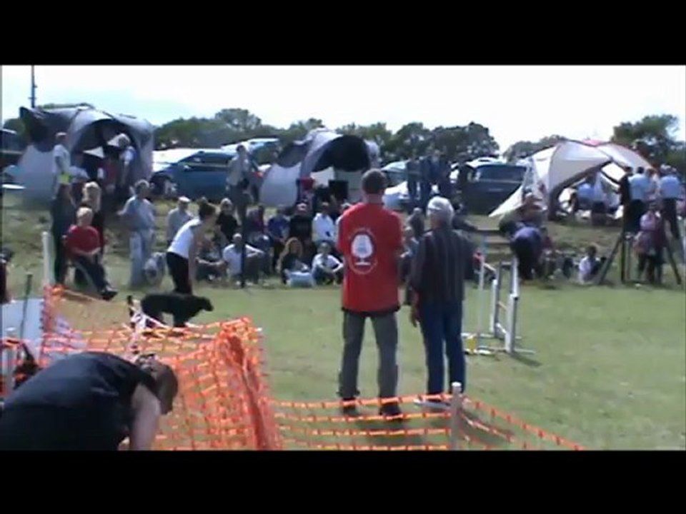 Carla & City Concours Agility à Cognac le 15 Juillet 2012