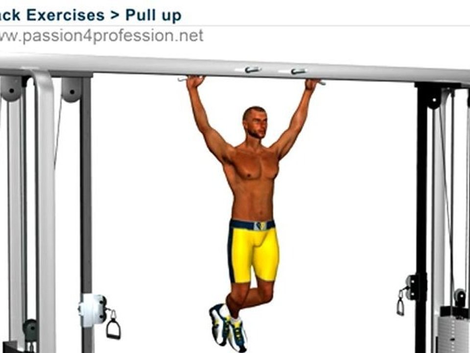 Pull Up Exercise