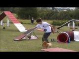 Nathan & Chapi Concours Agility à Cognac le 15 Juillet 2012