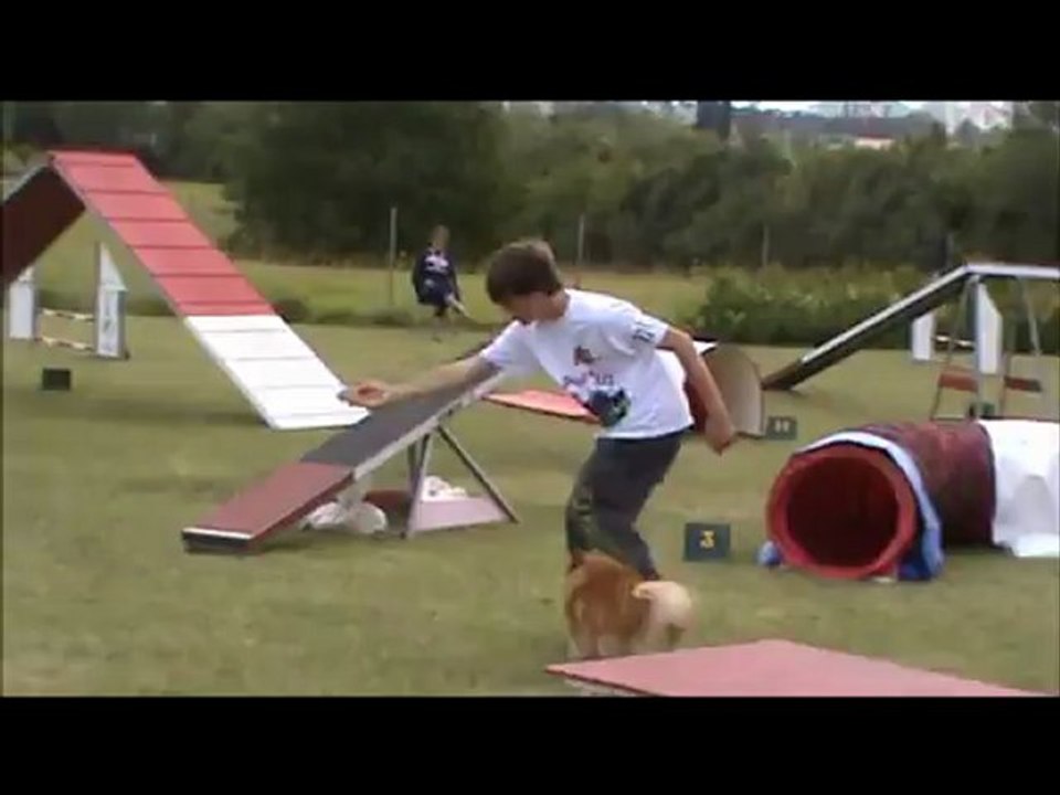 Nathan & Chapi Concours Agility à Cognac le 15 Juillet 2012