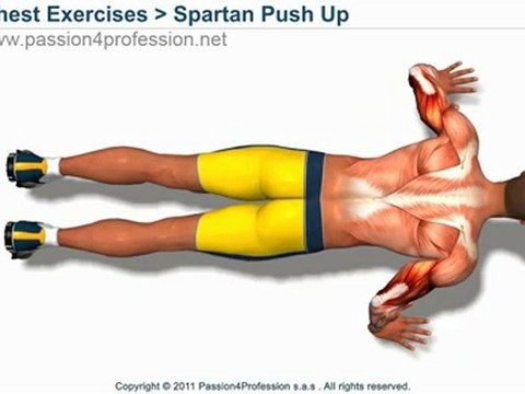 Spartan Push Up (300 workout)