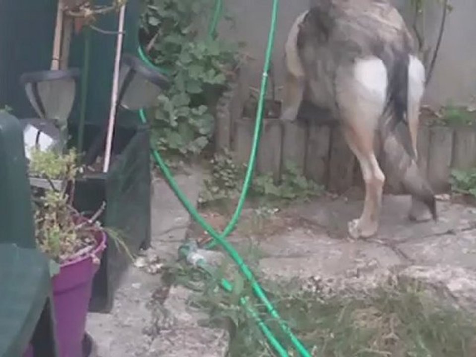 Hella cache son gant