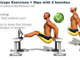 Triceps Exercises   dips 2 benches