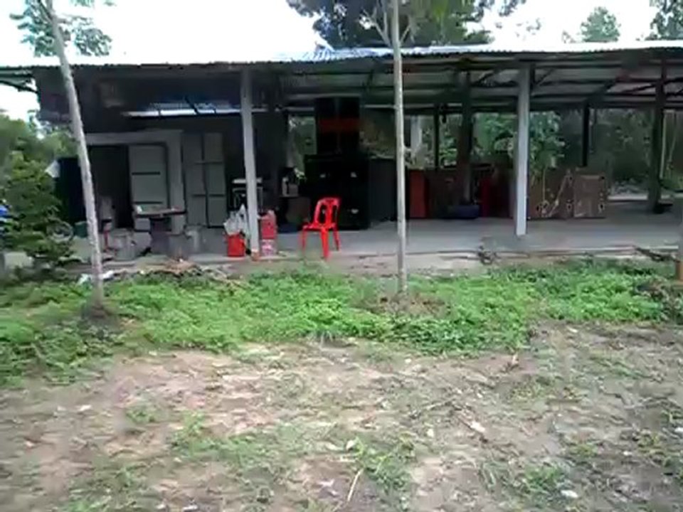 THA FHorn v2 nrdm  played in the new shop