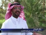 مهرجان التمور في السعودية الاكبر في العالم