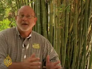 Florida farm works to curb hunger