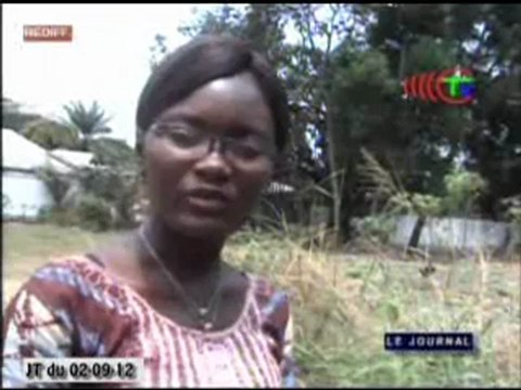 Le centre de démonstration des techniques agricoles de Kombé