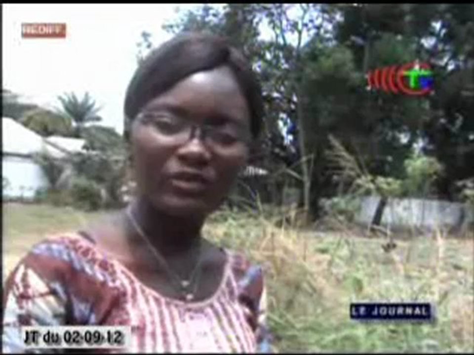 Le centre de démonstration des techniques agricoles de Kombé