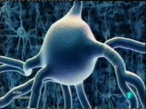 Optogenetica: Interruptores neuronales luminicos