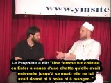 [DeenShow] - Chrétien converti à l'Islam - Imam Suhaib Webb