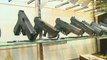 Colorado killing reignites gun control debate