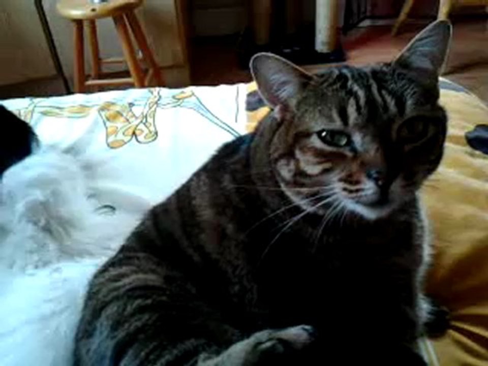 Fan et Kiss 03092012 004