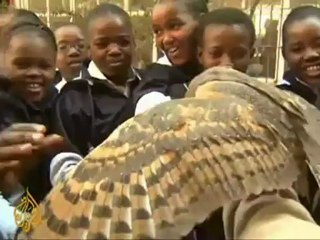 Owls to tackle rodents in South Africa