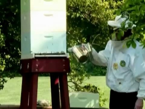 Рецепт пива для Обамы