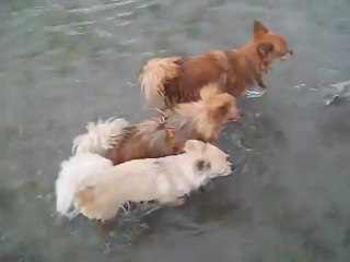 bain à bon-abri, hillion